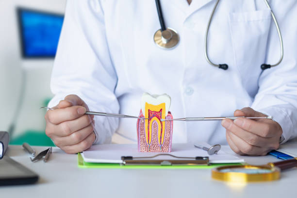 Best Emergency Root Canal Treatment in Laureldale, PA